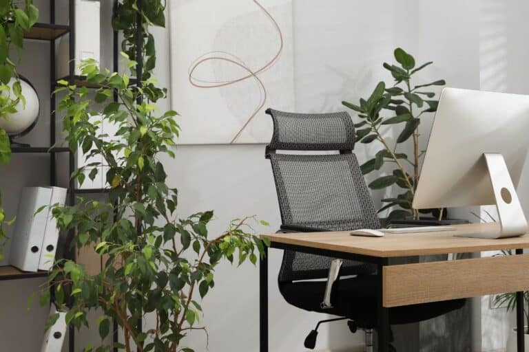Modern home office featuring wooden desk with computer monitor, black mesh ergonomic chair, abstract line art on wall, and climbing pothos plants on black metal shelving